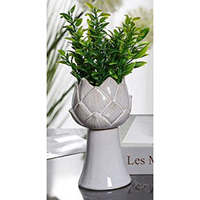 Transmutation Flower Vase